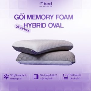 Ruột Gối Nằm Oval Zzbed