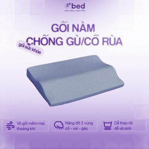 Gối chống Gù - G.U Zzbed