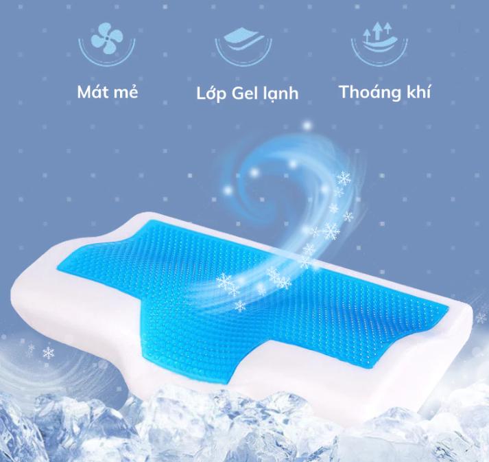 Gối công thái học là gì