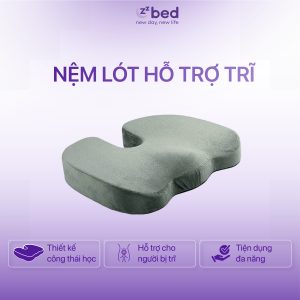 Nệm lót hỗ trợ trĩ Zzbed