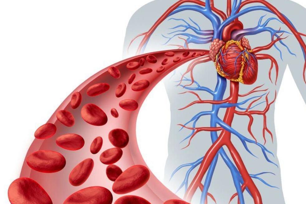 Gối massage cổ hỗ trợ lưu thông tuần hoàn khí huyết và trao đổi chất