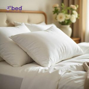 Cách giặt ruột gối bằng máy giặt