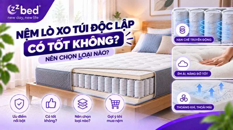 nệm lò xo túi độc lập có tốt không