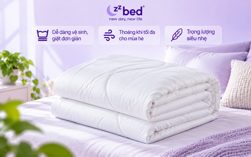 Ruột chăn Microfiber mùa hè và mùa đông tại ZZBED